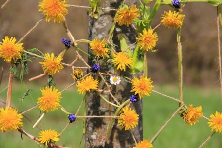 30725516_1834330273527874_4889694578573049856_n