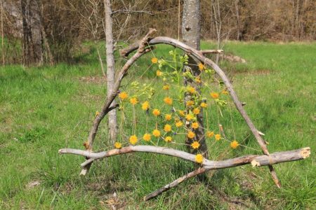 30729529_1834330763527825_4694680055194845184_n