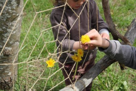 30738523_1834330383527863_7217367776975912960_n (1)