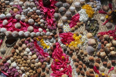 IMG_3607 - Compressée